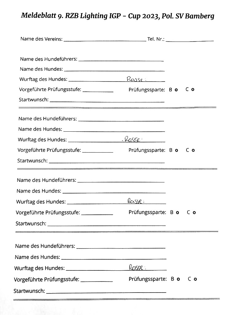 Meldeformular RZB 2023a