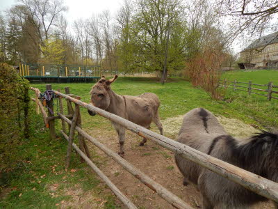 DSCN0538 (Kopie)