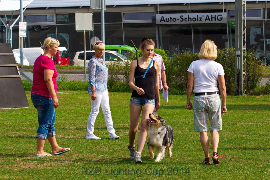 IMG_5587