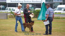 IMG_7196