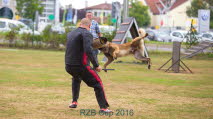 IMG_7202
