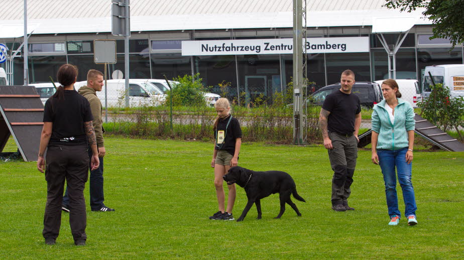 IMG_8185
