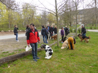 P1050452 (Kopie)